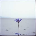 Dearest death part who knows 