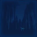 Travis, Phillip, The Crew, and My Dogs