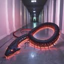 Blue Centipede House