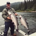 50 Pound Salmon 