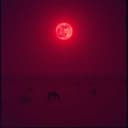 شبح في الليل