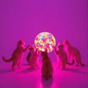 Party Song Nicole und Mike 