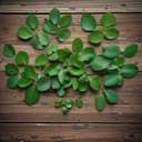 Kek Bayam (Haseena 5E)