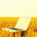 Subscribe To My Channel