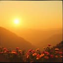 Timmy 'The Timster, Tim