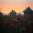 Que se acabe este dolor 