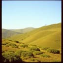 Emoção à flor da pele