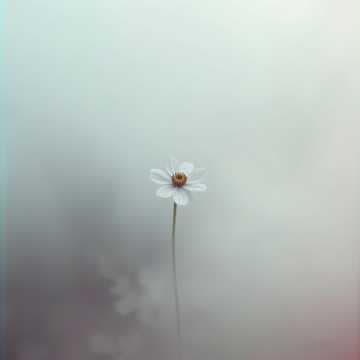 Palavras que nunca te disse 