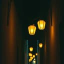 شلّوك يا مازن