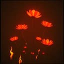 أُغْنِيَتِي لَكِ