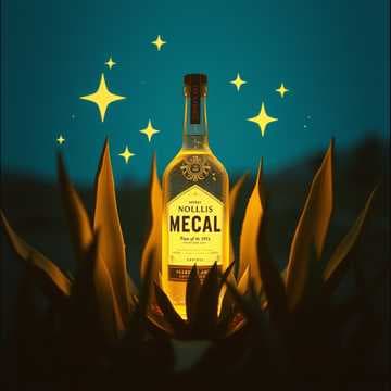 Con un mezcal el amor sigue 