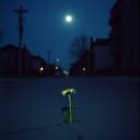 حب من طرف واحد