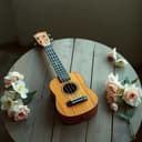 Les Couleurs de la Pluie