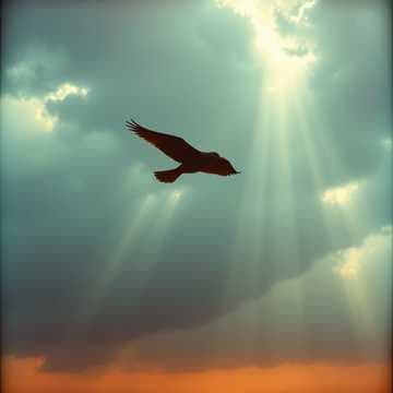 Freedom (Acoustic)