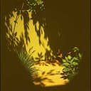 The Witch Hunter | The Well Ain't Poisoned (But It Ain't Quite Right)