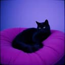 Accidental Heartbreaker