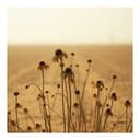 Las mentiras matan el amor