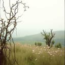 Unexpected Love Song