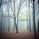 Cisza wśród słów 