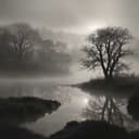 En la sombra, danzan sombras. Autor: A.A.Mc.V