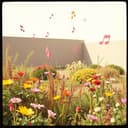 Somos Poetas -  António Almeida 