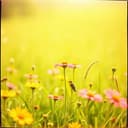 Living Wild and Free