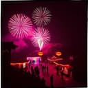 Horrido König Stephan