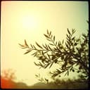 La gran familia Franco. 