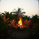 Bun fiya mmpon a trans