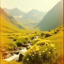 Le Mercantour en Été