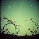 You're all I need. 2