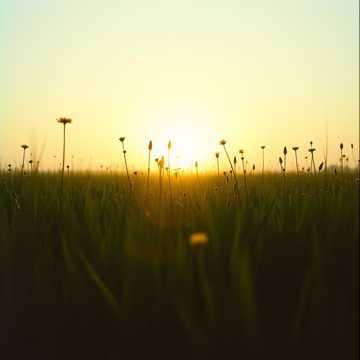 Sonnet for Our Years