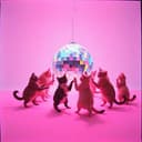 Party Song Nicole und Mike 