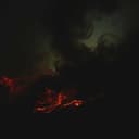 Schatten der Schöpfung 