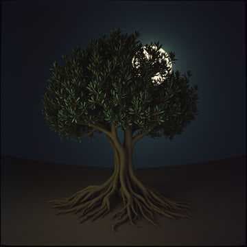 أحنّ إلى بلادي