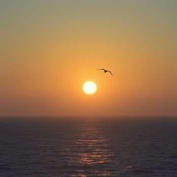 Golden Hour Dreaming