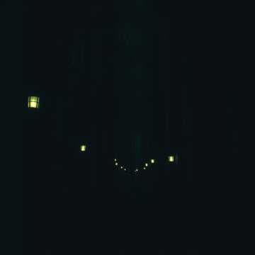 Leatherface's Bloody Hunt