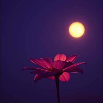 Part 2 Freak Jil to Bradley