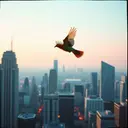 Стереотип 2