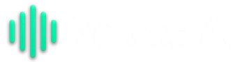 Voices AI
